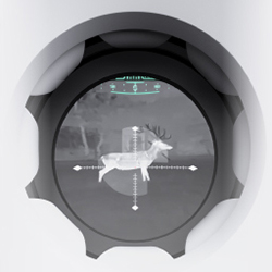 PATRIOT 2 L25 wyświetlacz AMOLED